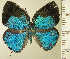  ( - RCB16247)  @11 [ ] by-nc-sa (2025) Robert C. Busby Robert C. Busby