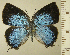  ( - RCB16293)  @11 [ ] by-nc-sa (2025) Robert C. Busby Robert C. Busby