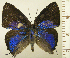  ( - RCB16329)  @11 [ ] by-nc-sa (2025) Robert C. Busby Robert C. Busby