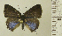  ( - RCB06697)  @11 [ ] by-nc-sa (2022) Robert C. Busby Robert C. Busby