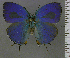  ( - RCCFXPL3F04)  @11 [ ] by-nc-sa (2023) C. Faynel C. Faynel