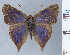  ( - RCCFXPL6A11)  @11 [ ] by-nc-sa (2024) C. Faynel C. Faynel