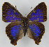  ( - RCCP1095)  @11 [ ] by-nc-sa (2024) C. Prieto C. Prieto