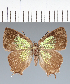  ( - RCCP1115)  @11 [ ] copyright (2023) Center For Collection-Based Research Center For Collection-Based Research