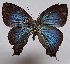  ( - RCWFB02)  @11 [ ] by-nc-sa (2024) C. Faynel C. Faynel