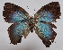  ( - RCWFB03)  @11 [ ] by-nc-sa (2024) C. Faynel C. Faynel