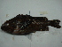  ( - CNPICT 2012 19)  @11 [ ] Unspecified (default): All Rights Reserved  Unspecified Unspecified