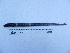  ( - UNMDP T 2330)  @11 [ ] Unspecified (default): All Rights Reserved  Unspecified Unspecified