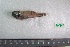  ( - UNMDP-T 2993)  @12 [ ] Unspecified (default): All Rights Reserved  Unspecified Unspecified