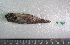  ( - UNMDP-T 2995)  @12 [ ] Unspecified (default): All Rights Reserved  Unspecified Unspecified