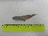  ( - UNMDP T 3129)  @11 [ ] Unspecified (default): All Rights Reserved  Unspecified Unspecified