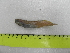  ( - UNMDP T 3130)  @11 [ ] Unspecified (default): All Rights Reserved  Unspecified Unspecified