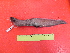  ( - UNMDP T 3160)  @11 [ ] Unspecified (default): All Rights Reserved  Unspecified Unspecified