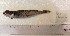 ( - UNMDP T 3234)  @11 [ ] Unspecified (default): All Rights Reserved  Unspecified Unspecified