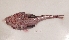  ( - UNMDP T 3236)  @11 [ ] Unspecified (default): All Rights Reserved  Unspecified Unspecified