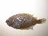  ( - INIDEP-T 0285)  @13 [ ] Unspecified (default): All Rights Reserved  Unspecified Unspecified