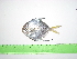  ( - INIDEP-T 0589)  @13 [ ] Unspecified (default): All Rights Reserved  Unspecified Unspecified