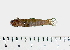  ( - INIDEP-T 0690)  @12 [ ] Unspecified (default): All Rights Reserved  Unspecified Unspecified