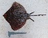  ( - UNMDP-T 0010)  @12 [ ] No Rights Reserved  Unspecified Unspecified