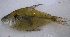  ( - UNMDP-T 0287)  @12 [ ] Unspecified (default): All Rights Reserved  Unspecified Unspecified
