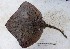 ( - UNMDP-T 0194)  @11 [ ] Unspecified (default): All Rights Reserved  Unspecified Unspecified