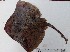  ( - UNMDP-T 0198)  @11 [ ] Unspecified (default): All Rights Reserved  Unspecified Unspecified