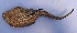  ( - UNMDP-T 1159)  @12 [ ] Unspecified (default): All Rights Reserved  Unspecified Unspecified