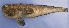  ( - UNMDP-T 1176)  @13 [ ] Unspecified (default): All Rights Reserved  Unspecified Unspecified
