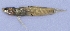  ( - UNMDP-T 1245)  @12 [ ] Unspecified (default): All Rights Reserved  Unspecified Unspecified
