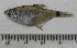  ( - UNMDP-T 1257)  @11 [ ] Unspecified (default): All Rights Reserved  Unspecified Unspecified