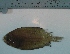  ( - UNMDP-T 0140)  @11 [ ] Unspecified (default): All Rights Reserved  Unspecified Unspecified