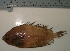  ( - UNMDP-T 0141)  @11 [ ] Unspecified (default): All Rights Reserved  Unspecified Unspecified