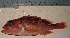  ( - UNMDP-T 0142)  @11 [ ] Unspecified (default): All Rights Reserved  Unspecified Unspecified