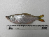  ( - UNMDP-T 1449)  @13 [ ] Unspecified (default): All Rights Reserved  Unspecified Unspecified