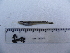  ( - UNMDP T 2126)  @13 [ ] Unspecified (default): All Rights Reserved  Unspecified Unspecified