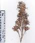 ( - AMM3189)  @11 [ ] No Rights Reserved  Unspecified Unspecified