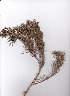  ( - AMM3200)  @11 [ ] No Rights Reserved  Unspecified Unspecified