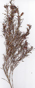  ( - AMM3201.1)  @11 [ ] No Rights Reserved  Unspecified Unspecified