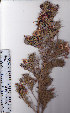  ( - AMM3270)  @11 [ ] No Rights Reserved  Unspecified Unspecified
