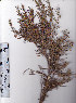  ( - AMM3592)  @11 [ ] No Rights Reserved  Unspecified Unspecified