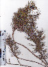  ( - AMM3835)  @11 [ ] No Rights Reserved  Unspecified Unspecified