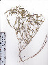  ( - AMM3880)  @11 [ ] No Rights Reserved  Unspecified Unspecified