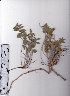  ( - AMM4030)  @11 [ ] No Rights Reserved  Unspecified Unspecified