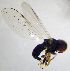  ( - Fauna-Ost-1000471)  @11 [ ] CreativeCommons  Attribution Share-Alike (by-sa) 4.0 (2016) Unspecified Zoologisches Forschungsmuseum Alexander Koenig