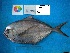  ( - XAP_1_6782)  @12 [ ] Unspecified (default): All Rights Reserved  Unspecified Unspecified