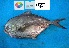  ( - XAP_3_6784)  @13 [ ] Unspecified (default): All Rights Reserved  Unspecified Unspecified