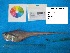  ( - RAT_3_1_6785)  @13 [ ] Unspecified (default): All Rights Reserved  Unspecified Unspecified