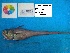  ( - RAT_3_2_6787)  @12 [ ] Unspecified (default): All Rights Reserved  Unspecified Unspecified
