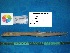 ( - CGI1_1_6912)  @12 [ ] Unspecified (default): All Rights Reserved  Unspecified Unspecified