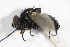  ( - DIP 05450)  @12 [ ] CreativeCommons - Attribution Non-Commercial Share-Alike (2015) Unspecified SNSB, Zoologische Staatssammlung Muenchen